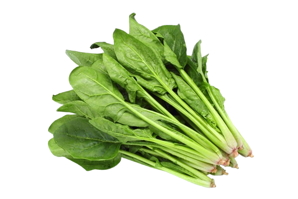 Espinaca